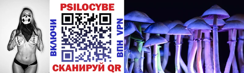 Псилоцибиновые грибы Psilocybe  даркнет сайт  Николаевск 